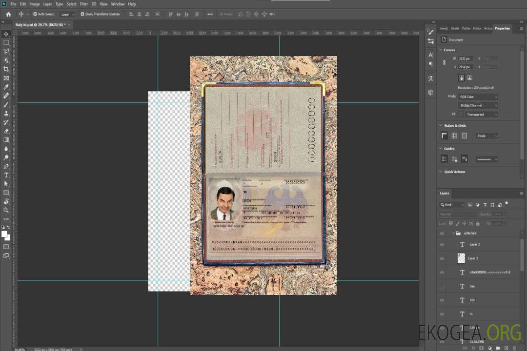 Aperçu photo du passeport allemand (2005-2017) template